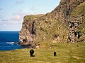 Cliffs north west of Da Smaalie, Foula