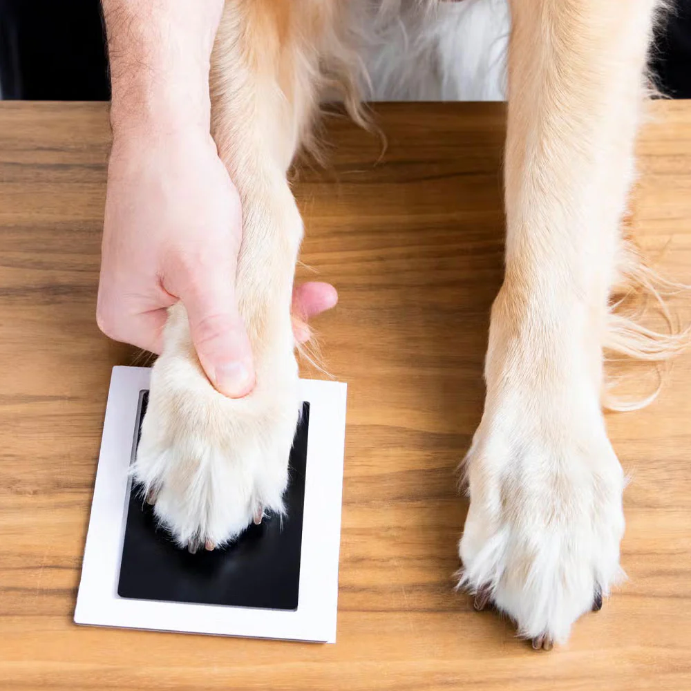 cartoon dog paw print